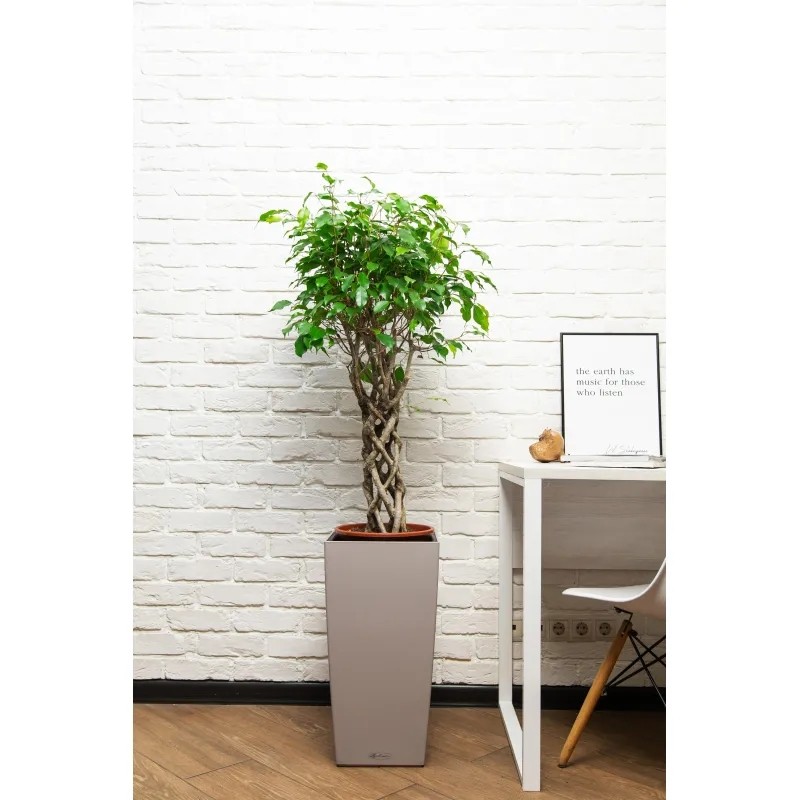 Фикус Экзотика цилиндр CUBICO COLOR 30/140 см, песочно-коричневый
