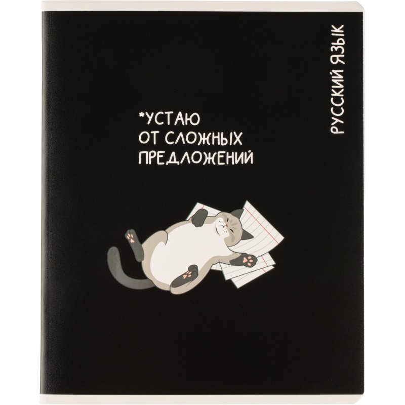 Тетрадь предметная КОТЫ МЕМЫ, набор12 шт.48л,А5+, клетка/линия/71449