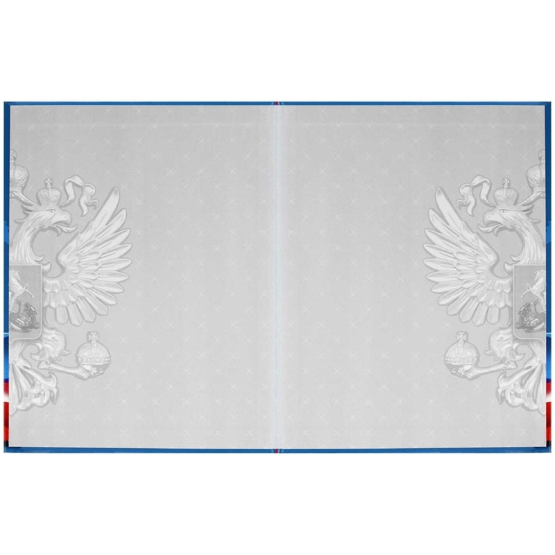 Дневник школьника СИМВОЛИКА ФЛАГ 7БЦ,А5+,48л,глянц. 69753