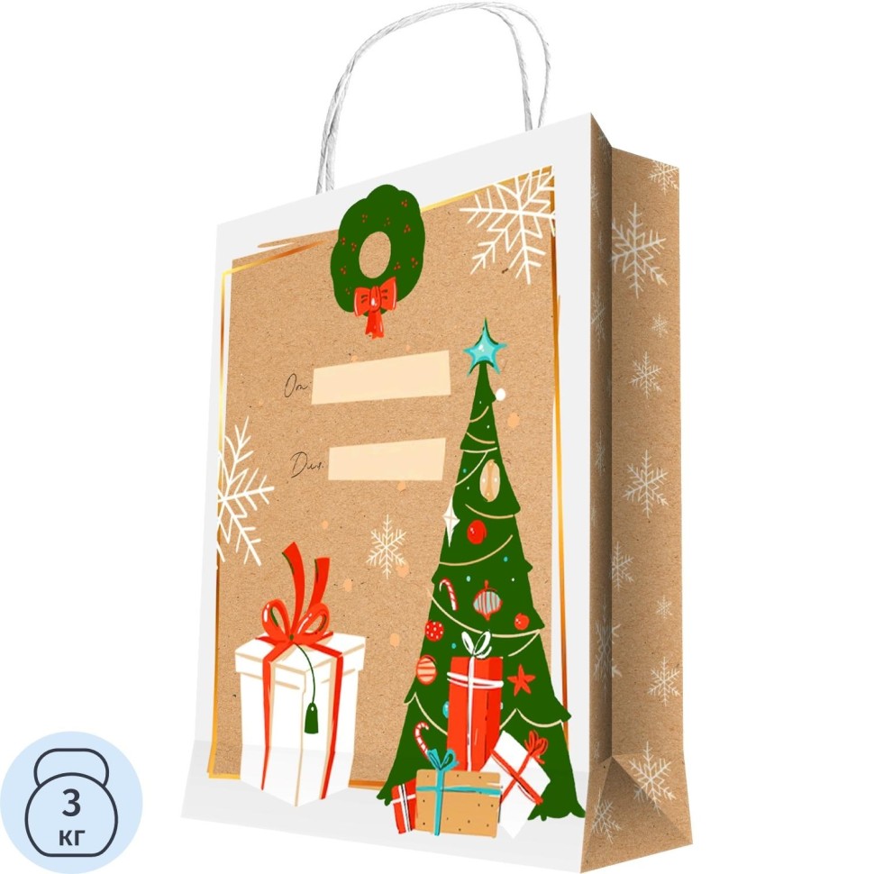 Пакет из крафт-бумаги, для сувенирной продукции 150 г/м2 26x33x10см 93168FE