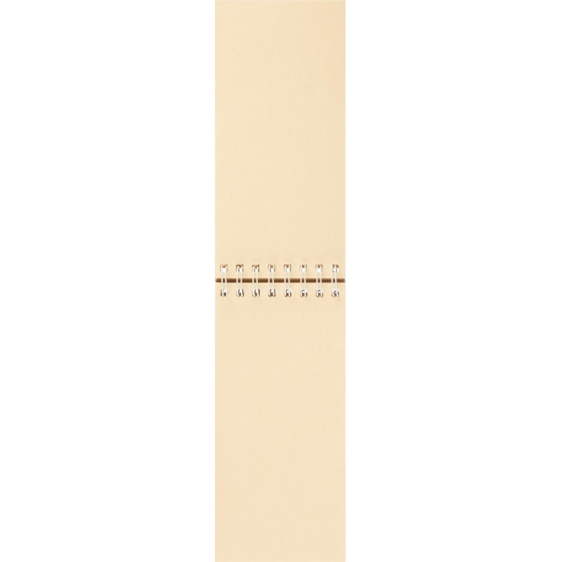 Скетчбук Sketch&amp;Art 105х220мм 60л пухлая 100г на гребне 1-60-564/03