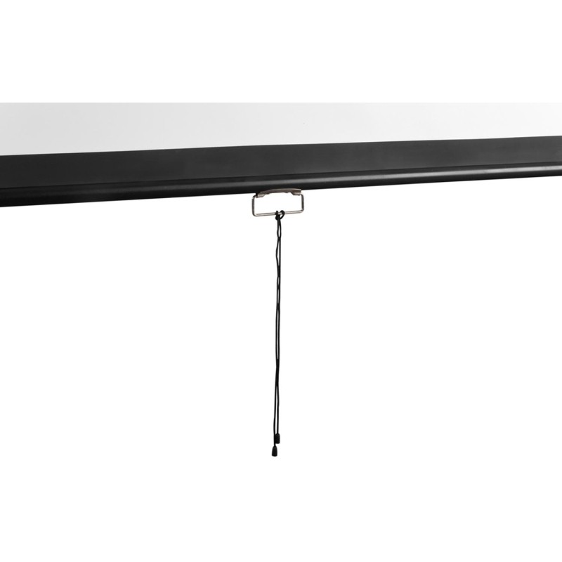 Экран Digis DSOD-1107 настенный 1:1, 240x240