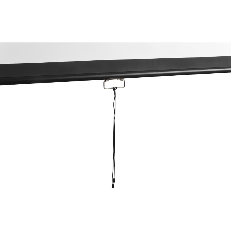 Экран Digis DSOD-4304 настенный 4:3, 240х180