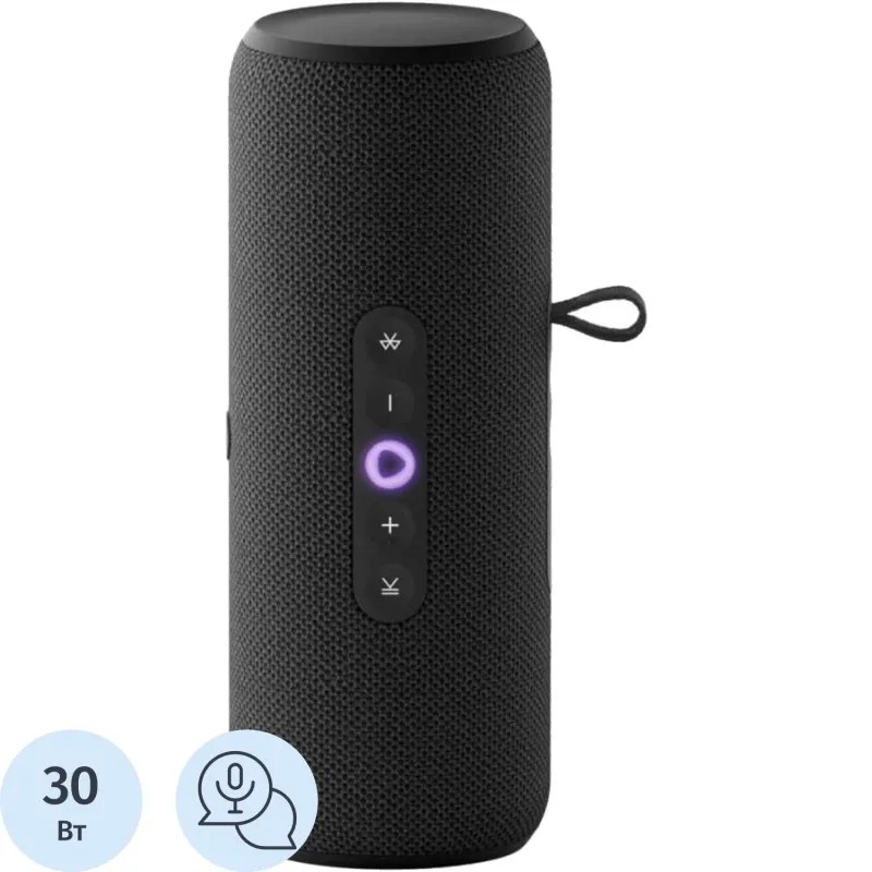 Умная колонка Яндекс Станция Стрит с Алисой, чёрный (YNDX-00030BLK)