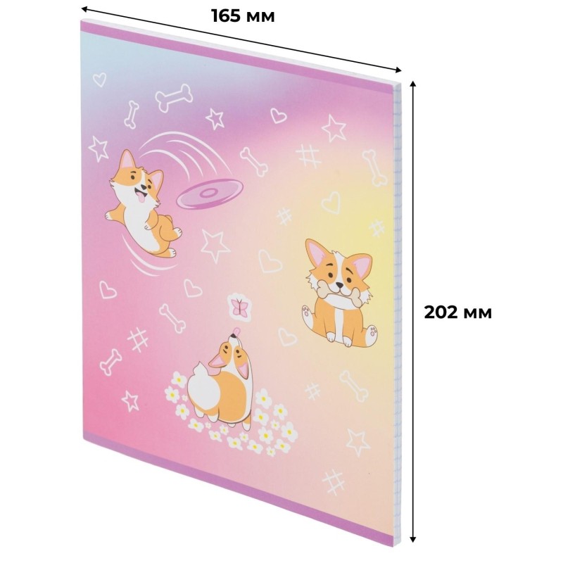 Тетрадь общая А5 48л №1School Corgi time,клет,скреп, ВД-лак