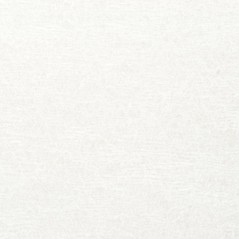 Бумага протирочная WYPALLxL40PWLrollWh1P750s 31,5x31см бел.7452
