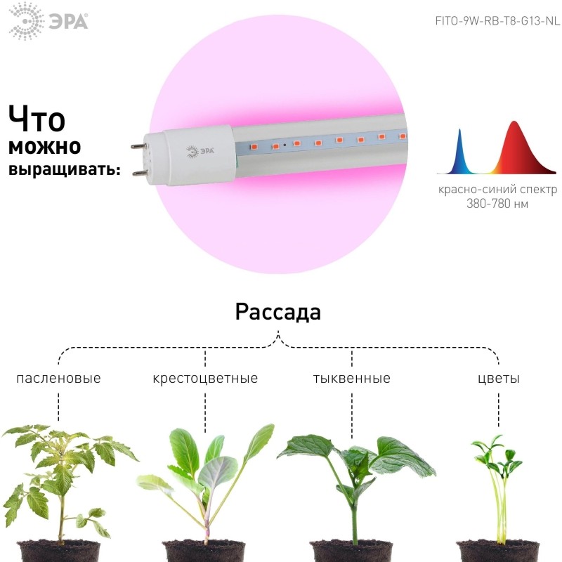 Фитолампа ЭРА FITO-9W-RB-Т8-G13-NL и мясных прилавков красно-синего спектра