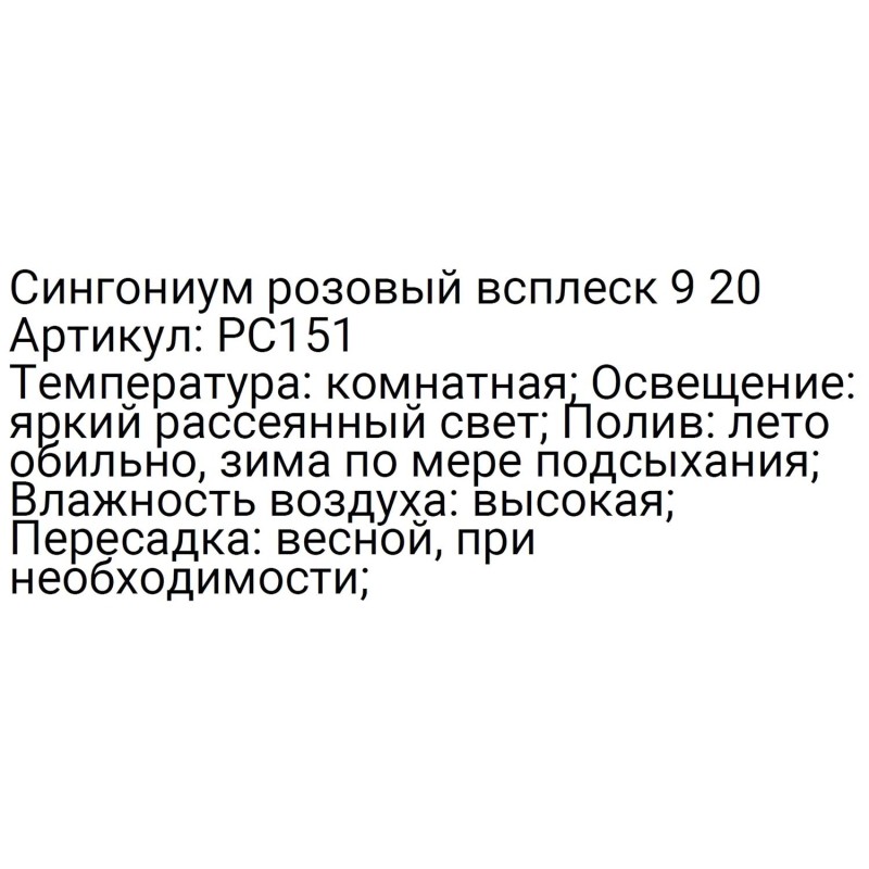 Сингониум розовый всплеск 9 20, РС151