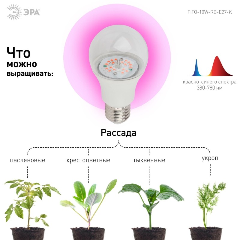 Фитолампа светодиодная ЭРА FITO-10W-RB-E27-K красно-синего спектра