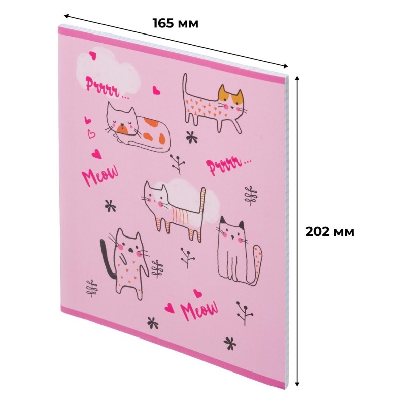Тетрадь общая А5 48л №1School Friendly cats,клет,скреп, ВД-лак