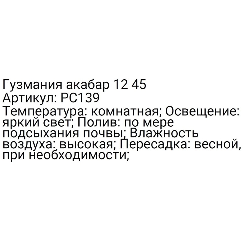 Драцена марг магент ст 12 40 АФ, РС140