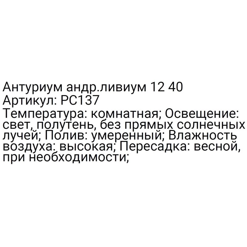 Антуриум андр.ливиум 12 40, РС137