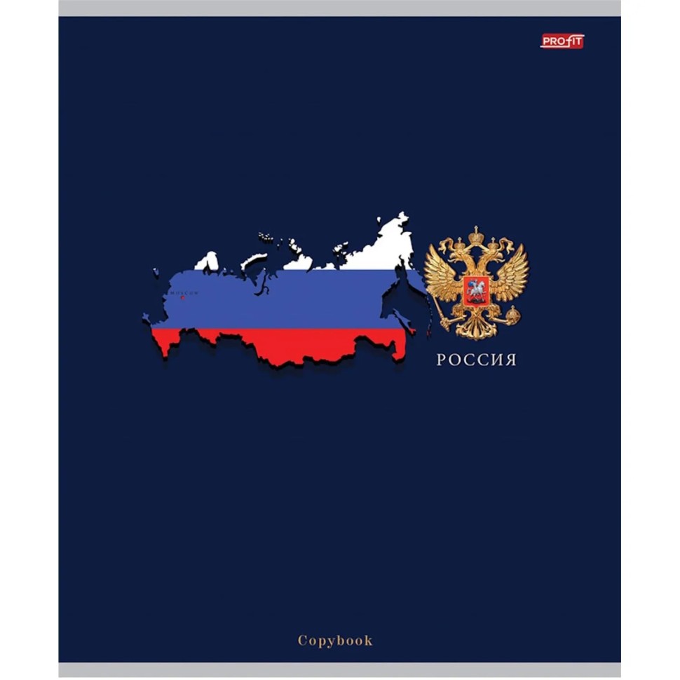 Тетрадь школьная КЛЕТКА 48л. ТЕРРИТОРИЯ РОССИИ (48-5725) цв.м.обл. 10шт/уп Тетрадь школьная КЛЕТКА 48л. ТЕРРИТОРИЯ РОССИИ (48-5725) цв.м.обл. 10шт/уп