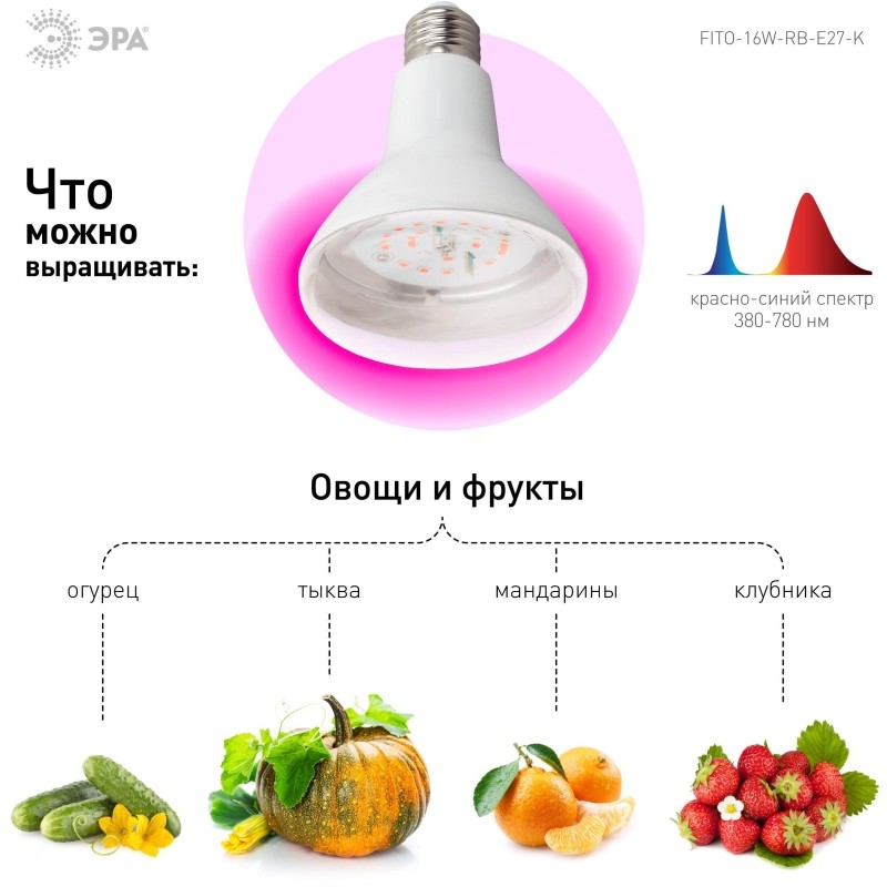 Фитолампа светодиодная ЭРА FITO-16W-RB-E27-K красно-синего спектра
