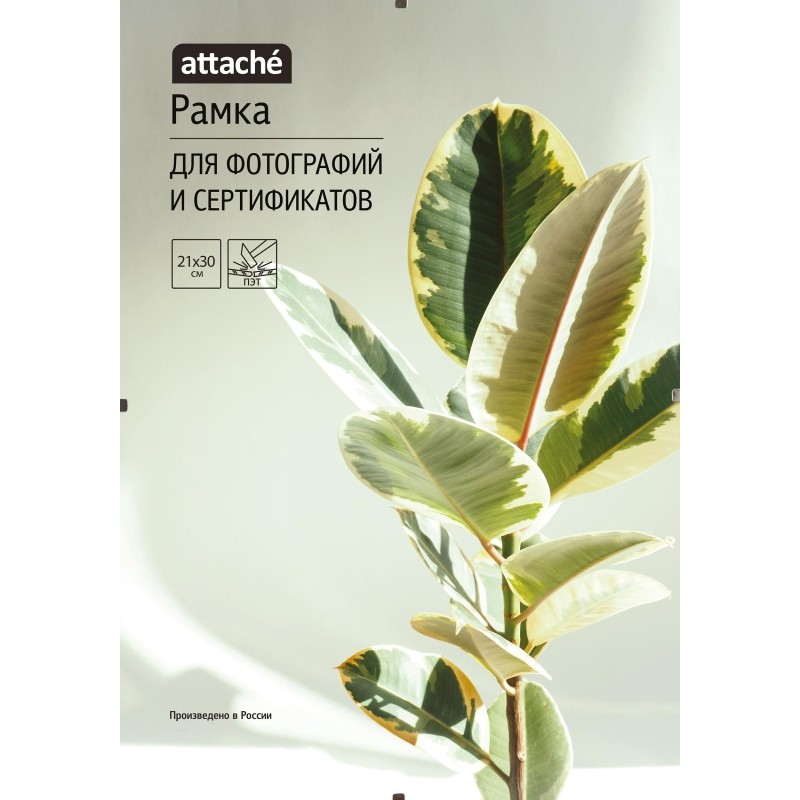 Рамка Комус/ATTACHE КЛИП 21х30