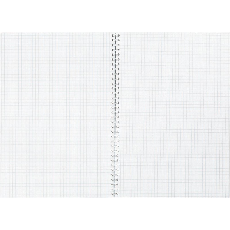 Бизнес-тетрадь А4,80л,кл,греб,обл.мат.лам. Attache Selection Pastel Полосы