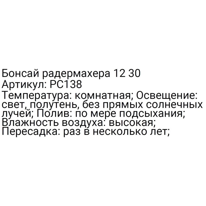 Бонсай радермахера 12 30, РС138