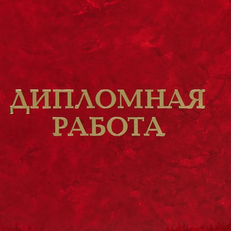Папка адресная для дипломных работ ДИПЛОМНАЯ РАБОТА А4 ламин.картон, 3 отв