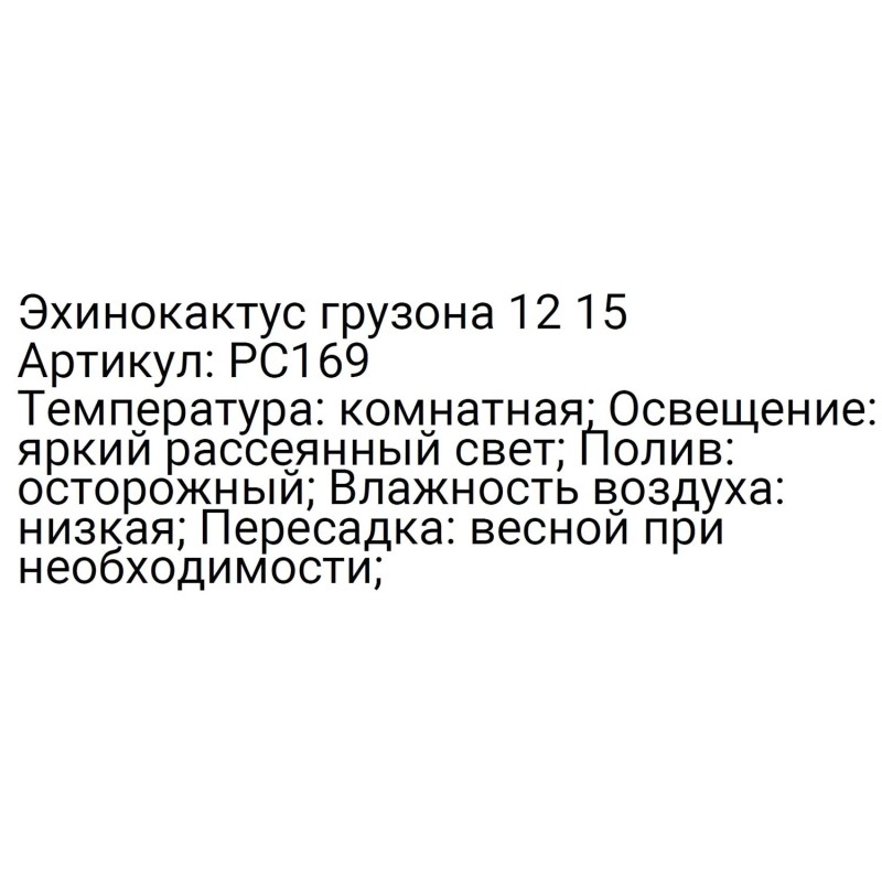 Эхинокактус грузона 12 15, РС169