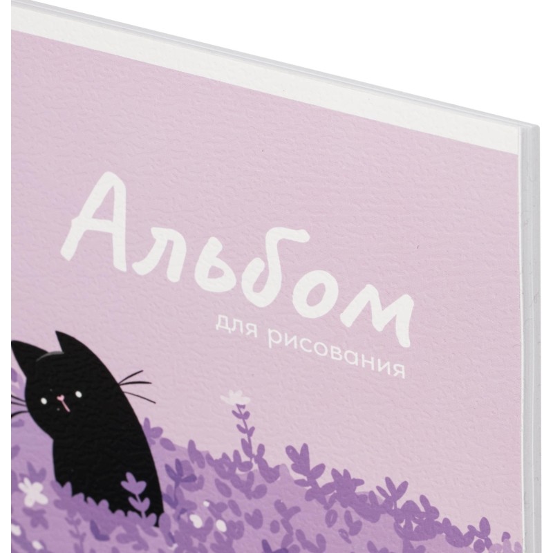 Альбом для рисования КОТ И ЛАВАНДА А4,40л,скрепка 70059