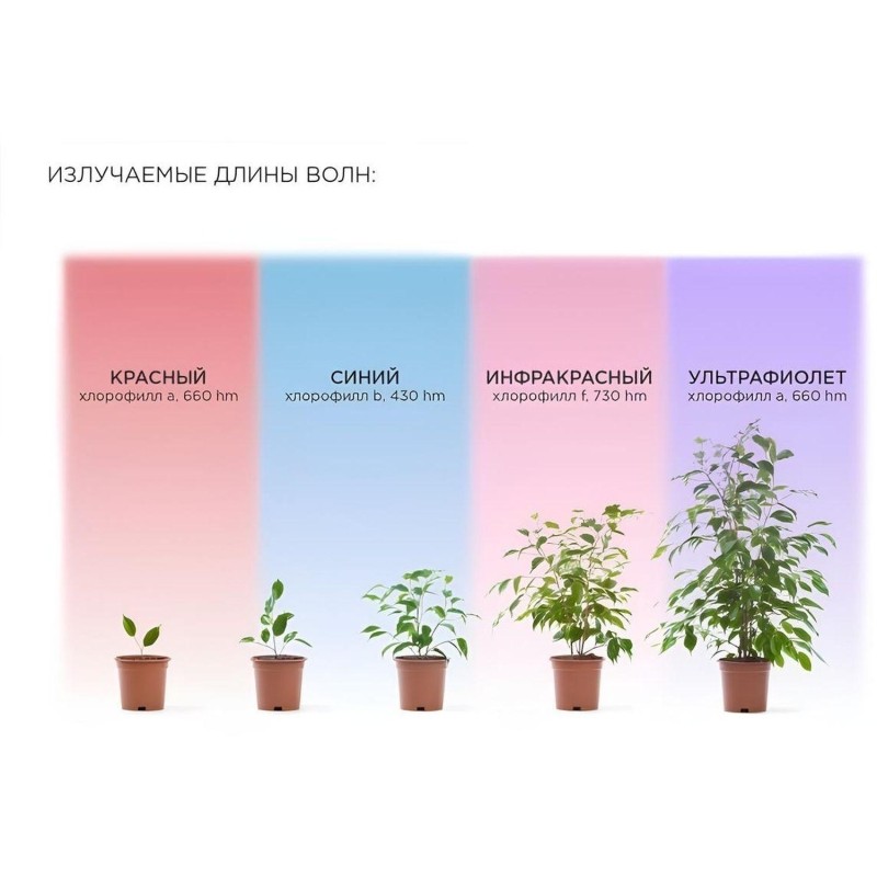 Фитосветильник светодиодный СПБ-Т5-ФИТО сине-крс спектр 15Вт 870мм IN HOME