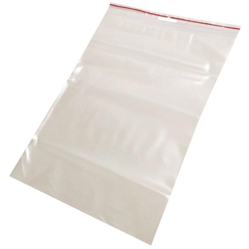 Пакет с замком (Zip Lock) с европодвесом 20 х 30  см, 60 мкм, 100 шт/уп