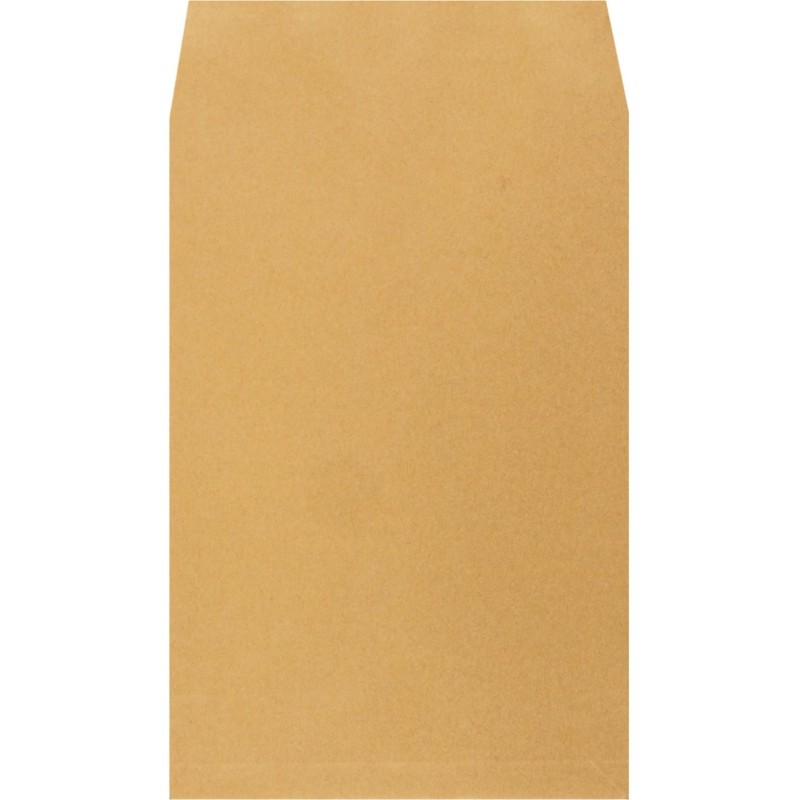 Пакет в упаковке крафт С4 стрип Extrapack 229х324 100г 250шт/уп/6541