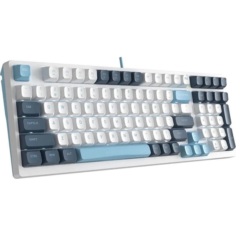 Клавиатура A4Tech Fstyler(FS300 PANDA SNOWBOARDING)мех.бел/син USB gam.LED