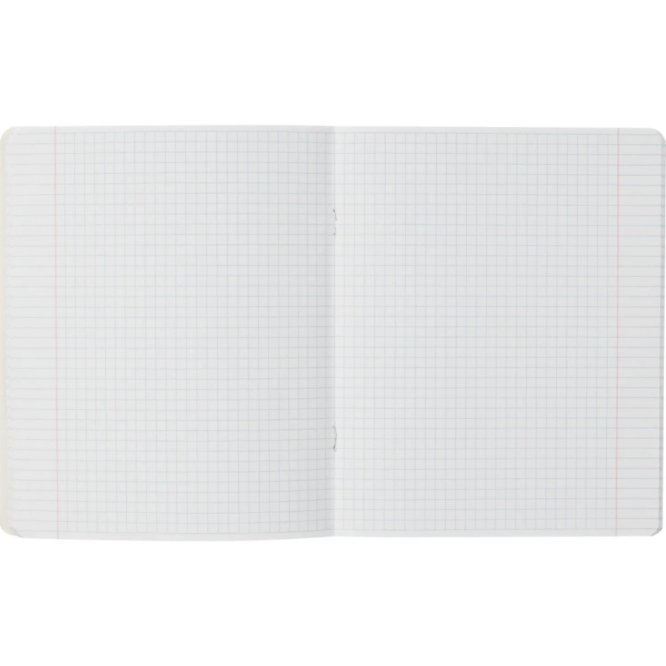 Тетрадь предметная 48л А5 клетка, TWIN лак №1 School АНИМЕ АНГЛИЙСКИЙ ЯЗЫК