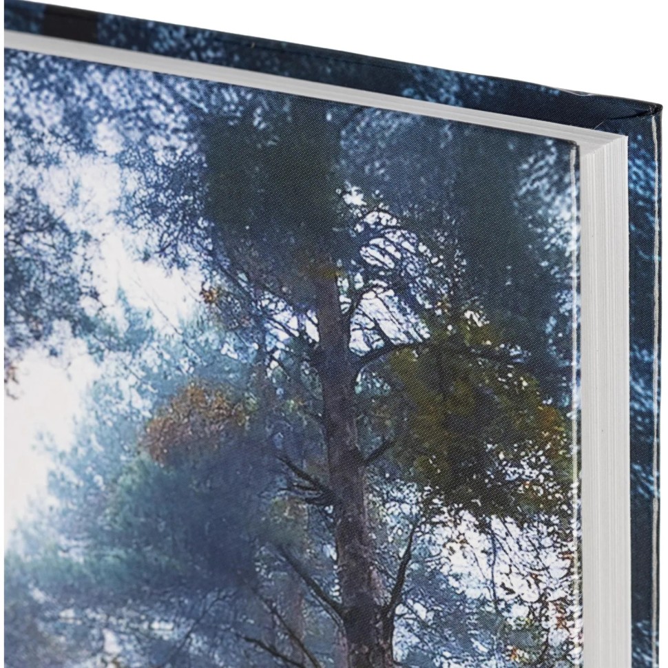 Ежедневник недатированный 7БЦ, пленка глянц., А5,128л, Выбор есть, Тайга