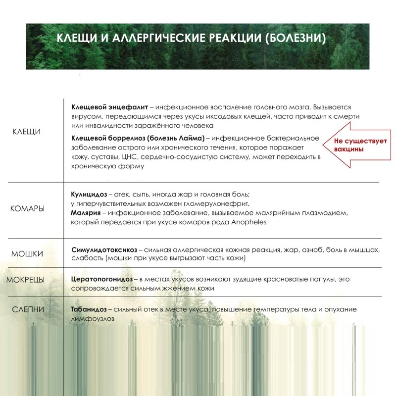 Спрей репеллентный MOSQUITALL Профессион защита от всех насекомых, 200 мл