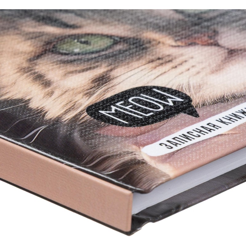Записная книжка А5 80л.ДЕВУШКА И КОТ 7БЦ,глянц.ламин,лен,б/линовки 80-1723