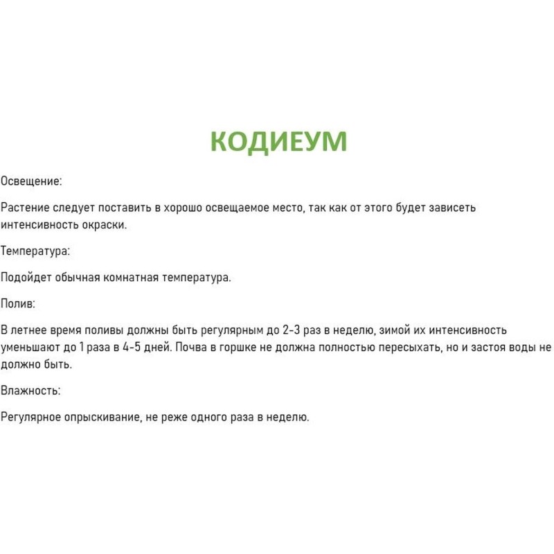 Набор из 2 растений Кодиеум Аукубафолия в тех.горшке дм 6 см, РМ21-2