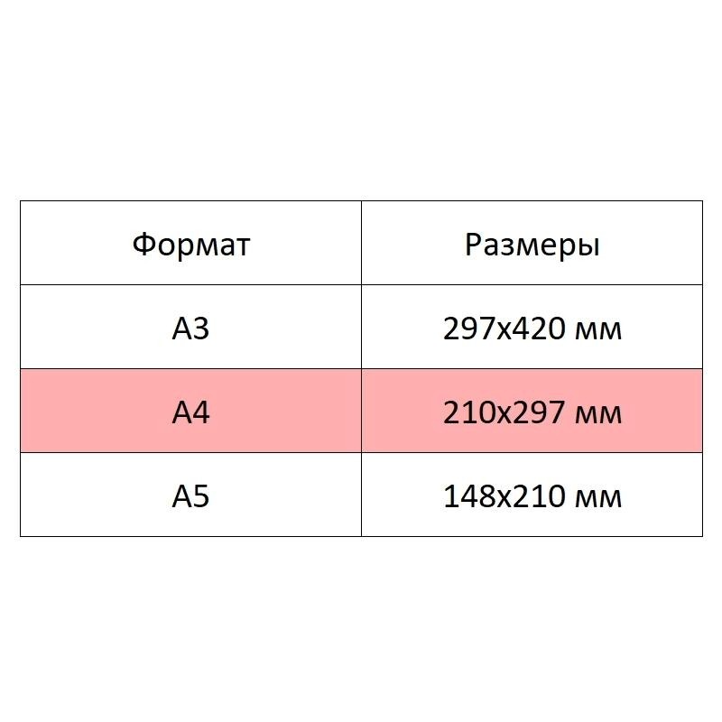 Альбом для рисования Kroyter 20л А4,скл,бл.235г,тв.подл,Проф 64515