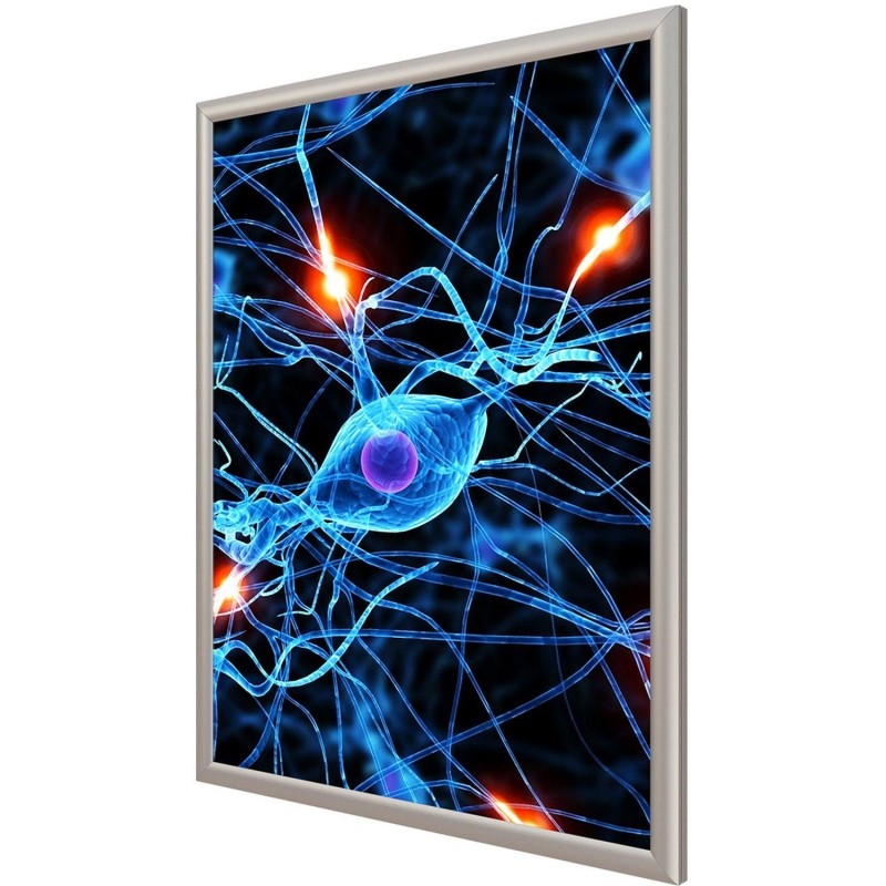 Панель световая ProMEGA Frame LED 1стор к стене А2+(450х624)раз.пл. 420х594