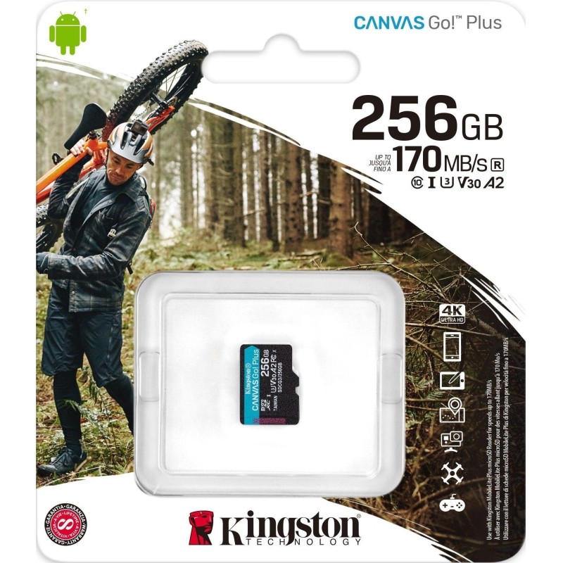 Карта памяти Kingston Canvas Go! Plus microSDXC UHS-I Cl10, SDCG3/256GBSP
