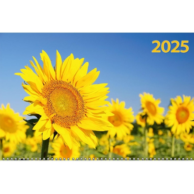 Календарь настен 3-х бл,2025,Подсолнух,офс,310х680,КБ12-25