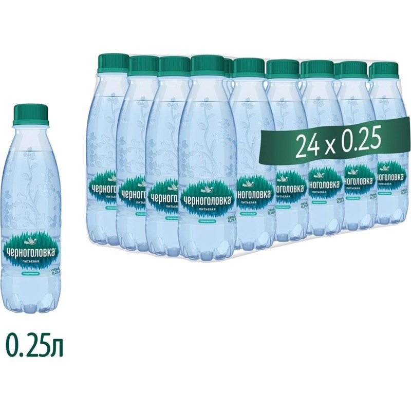 Вода питьевая Черноголовка артезианская газированная 0,25л
