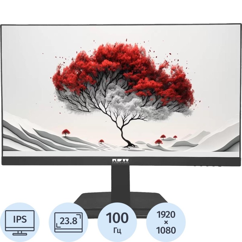 Монитор RDW Computers 23.8 RDW2401K IPS 4ms HDMI VGA DP FHD 4.185кг (RUS)