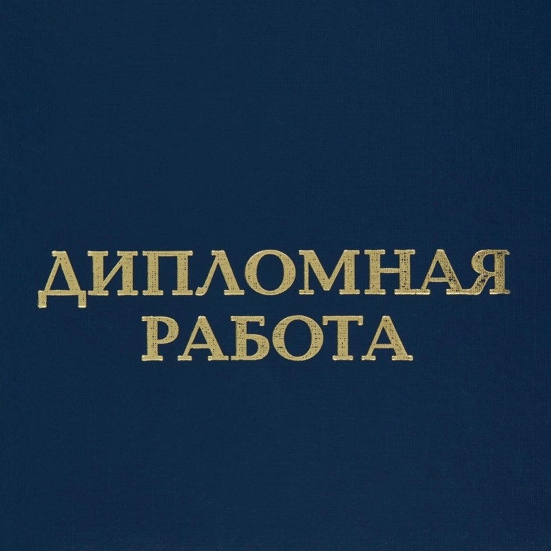 Папка для дипломных работ ДИПЛОМНАЯ РАБОТА А4 бумвинил, шну р., синяя
