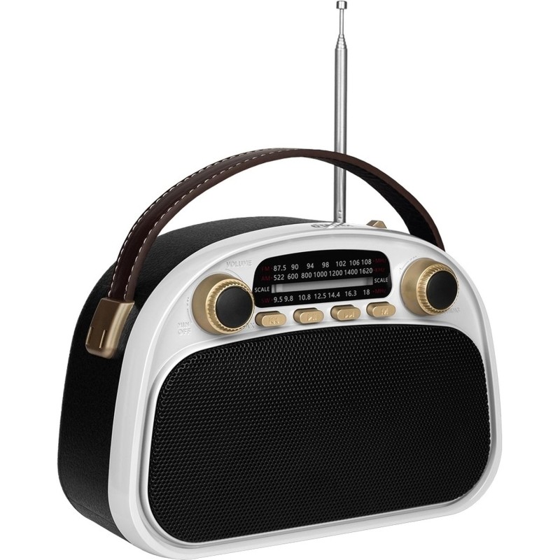 Радиоприемник Ritmix RPR-040 White