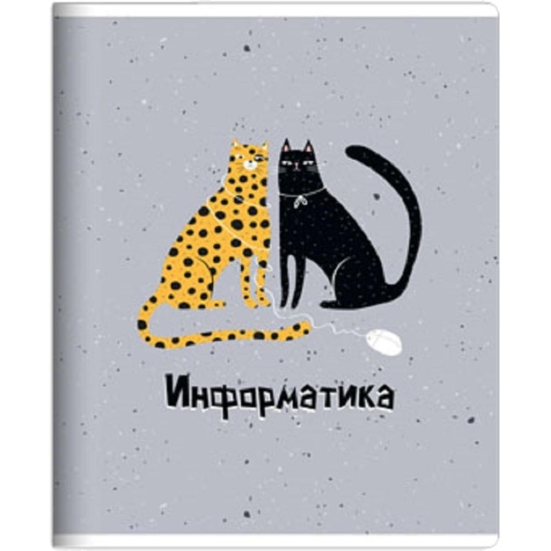 Тетрадь предметная набор Be Smart А5 48л 12шт Silly N3220-3231