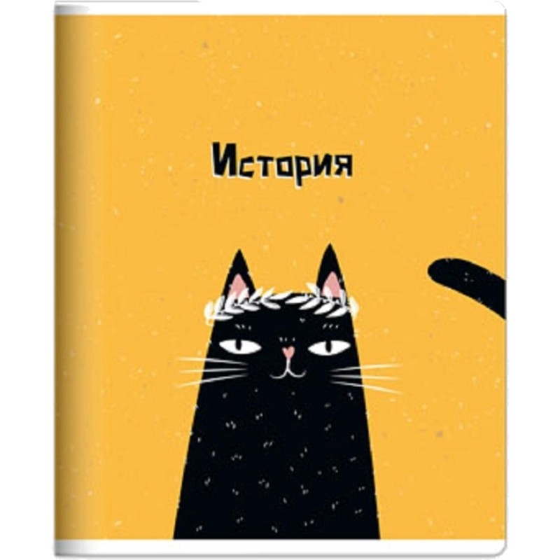 Тетрадь предметная набор Be Smart А5 48л 12шт Silly N3220-3231