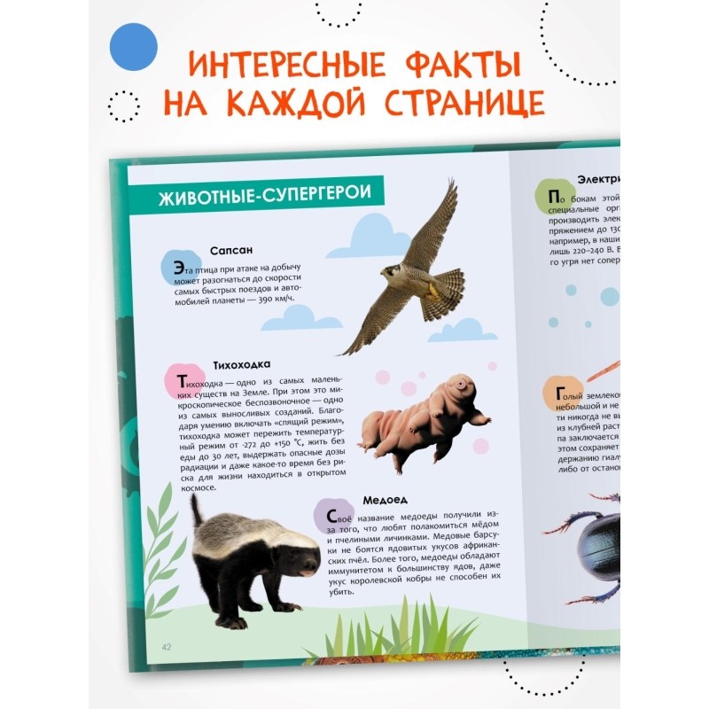 Энциклопедия детская  Животные МС14323