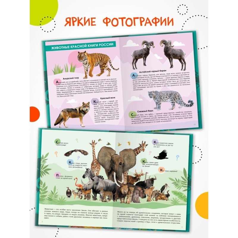 Энциклопедия детская  Животные МС14323