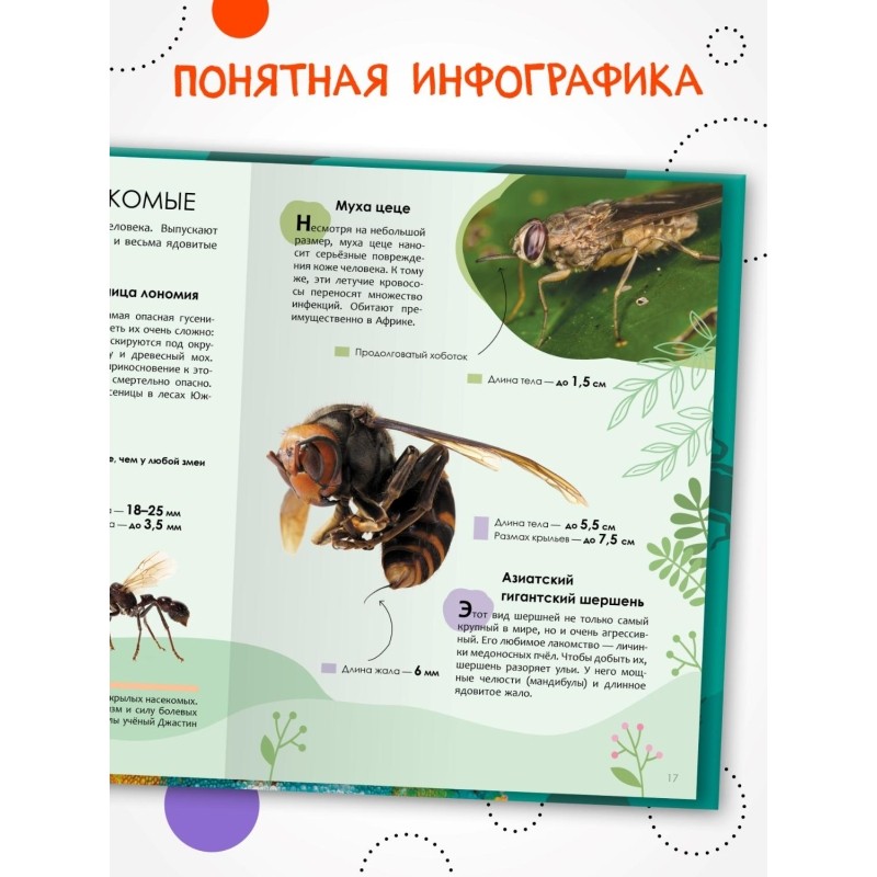 Энциклопедия детская  Животные МС14323