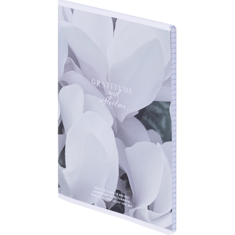Тетрадь общая, BS, А5, 48л., клетка, скрепка. Botanica, цикламен N4165