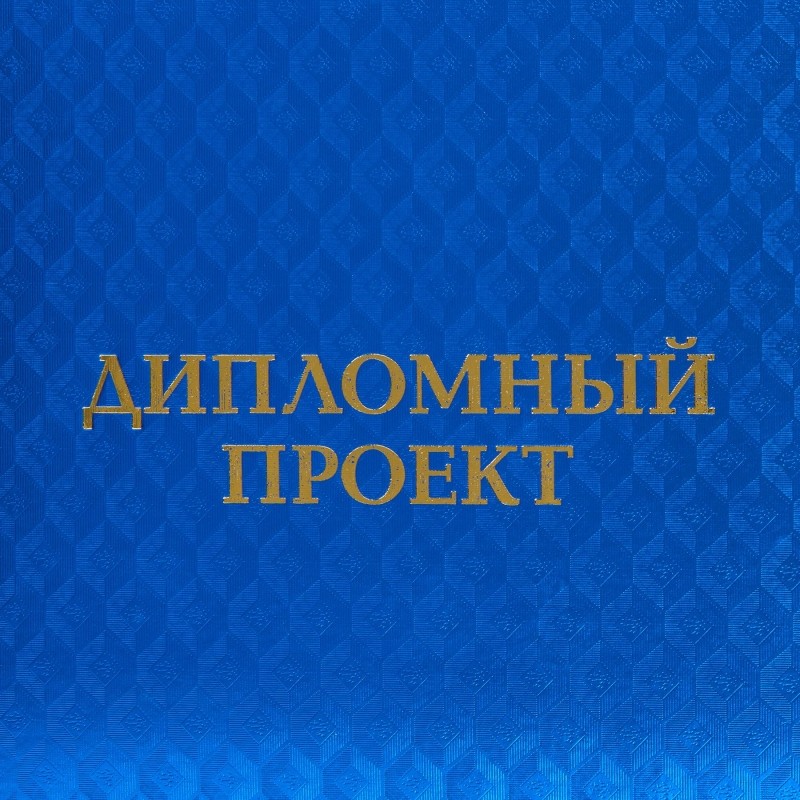 Папка для дипломных работ ДИПЛОМНЫЙ ПРОЕКТ А4 полипропилен,3 отв.,шнур.,син