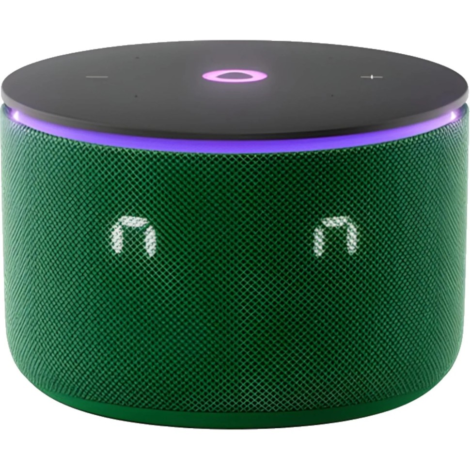 Умная колонка Яндекс Станция Мини 3 Про, Zigbee, зеленый (YNDX-00059GRN)
