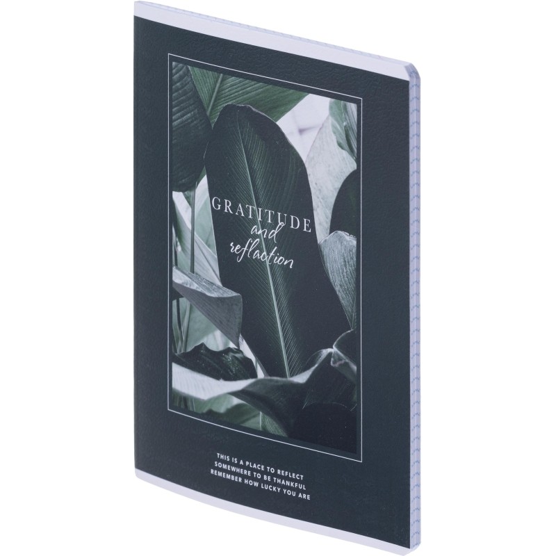 Тетрадь общая, BS, А5, 48л., клетка, скрепка. Botanica, банан рамка N4168